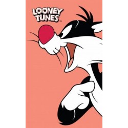 Looney Tunes Hand Towels