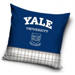 Abase d'oreiller Yale 40 * 40 cm