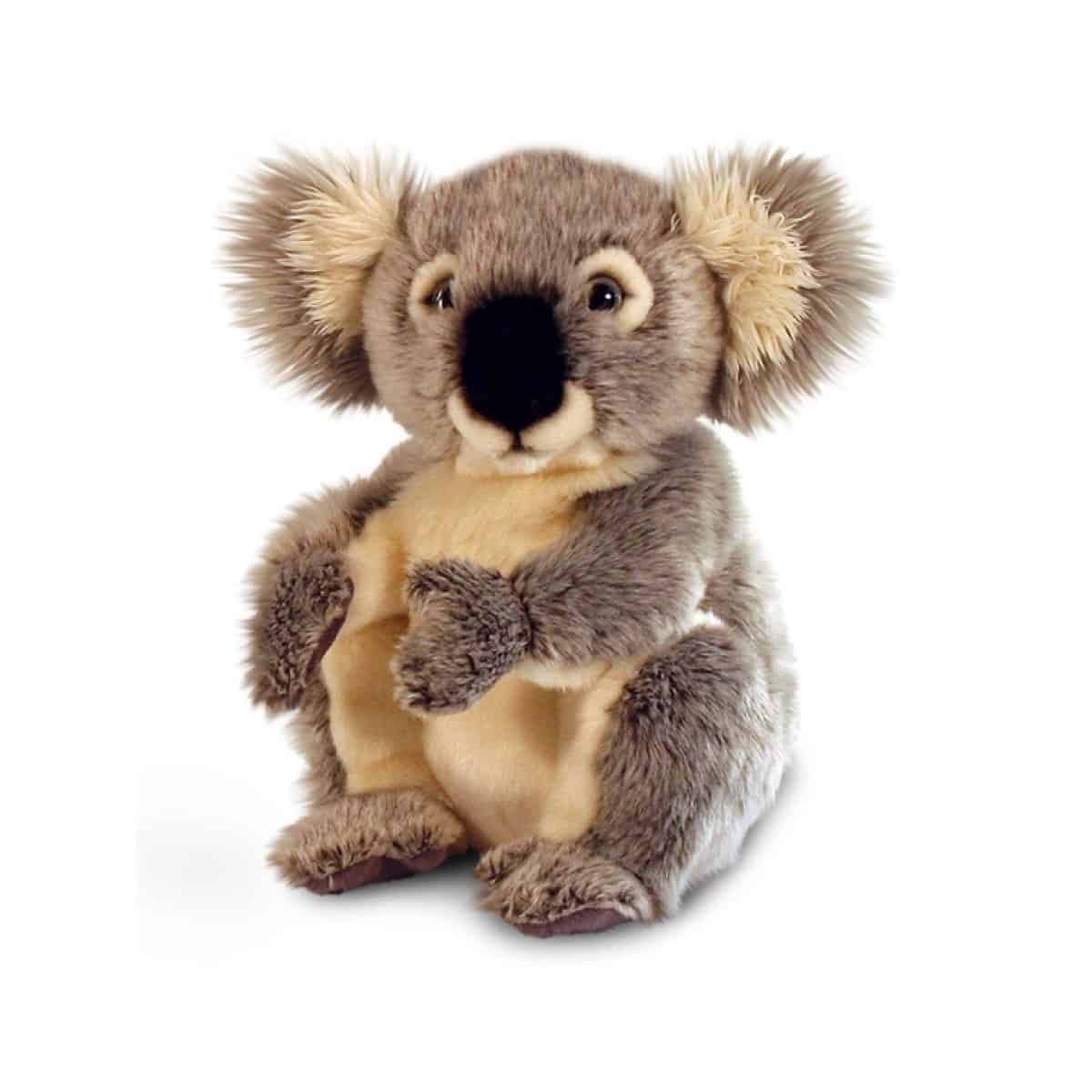 peluche koala
