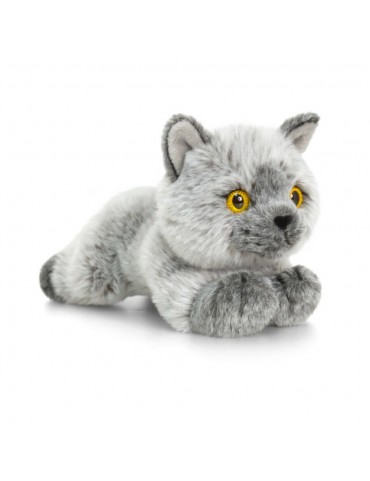 peluche chartreux
