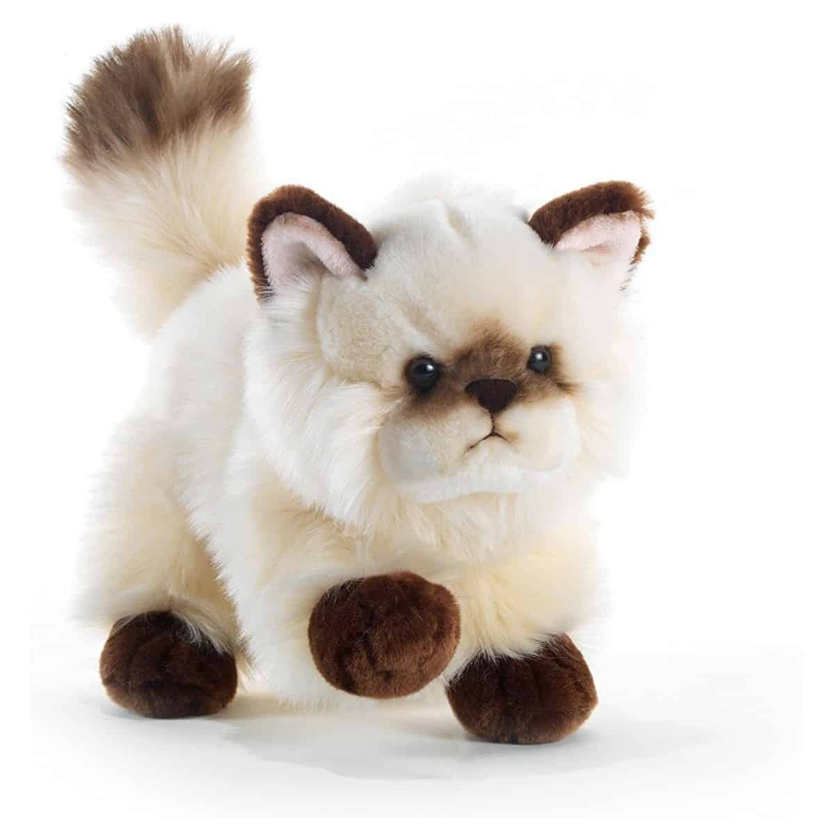 peluche chat siamois