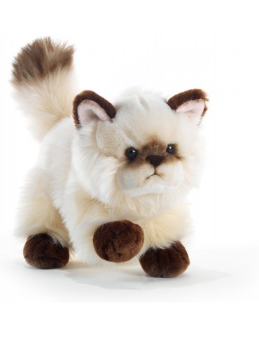 Peluche Chat Thaytoo 21 Cm Plush And Company Bellepeluche Peluche Chat Thaytoo 21 Cm Plush And Company Bellepeluche