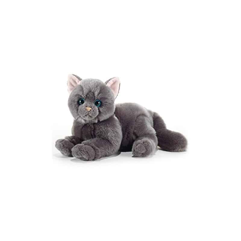 Peluche chartreux on sale